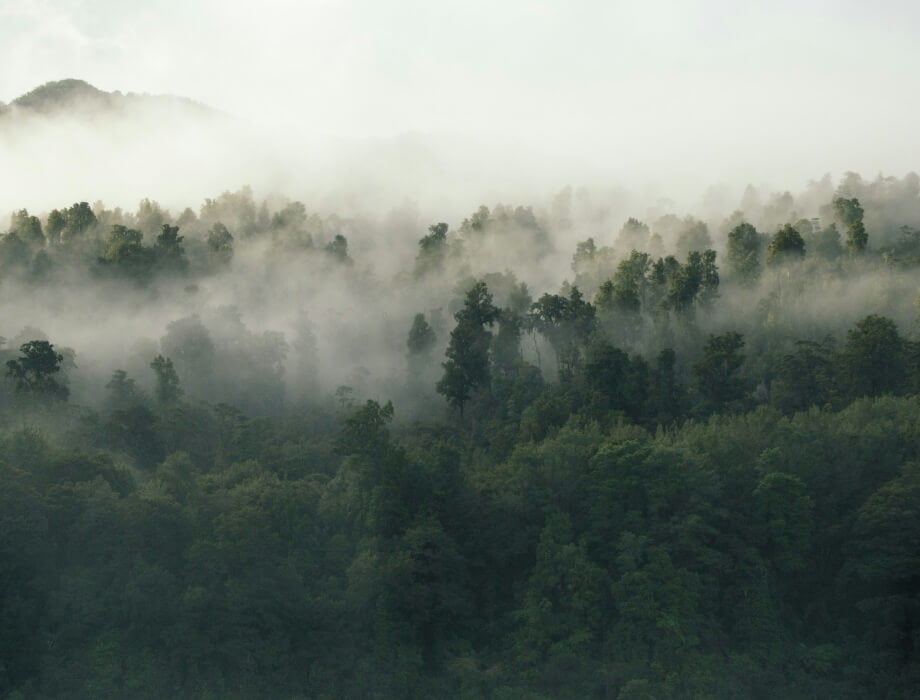 Our Impact | Arada London