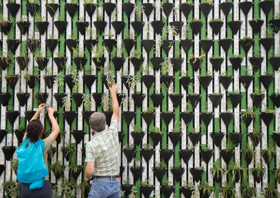 Green Space at The Clarendon